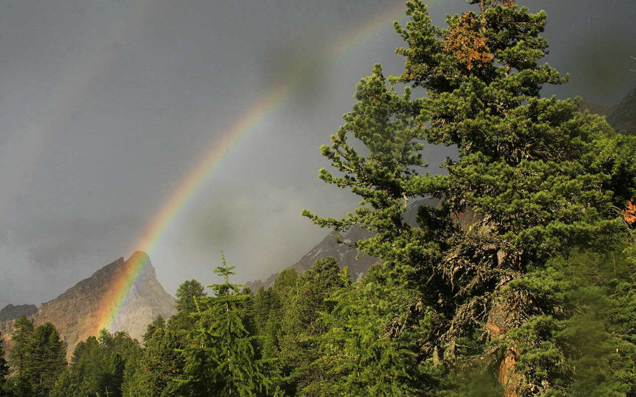 Dettaglio del Parco Naturale di Fanes-Senes-Braies