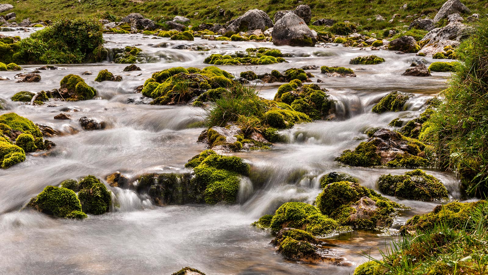 Dettaglio di un ruscello nel Parco Naturale